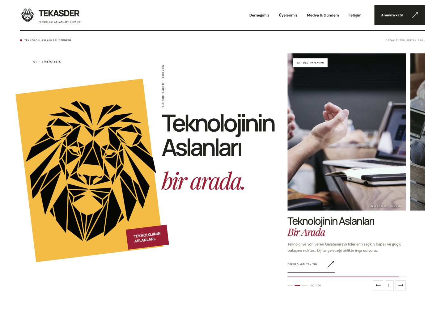 TEKASDER — Teknoloji Aslanları Derneği ana sayfa tasarımı